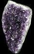 Dark Purple Amethyst Cut Base Cluster - Uruguay #36497-1